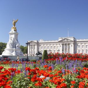 Buckingham Palace