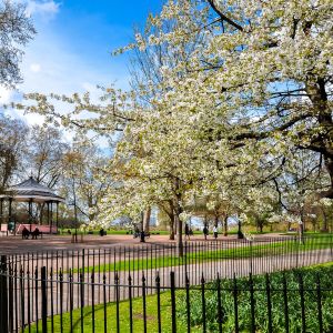 Hyde Park in Londen