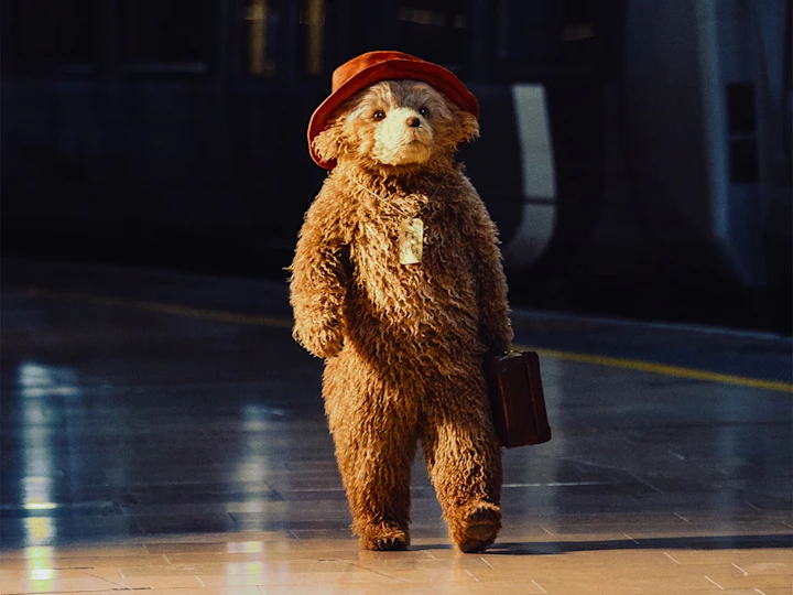 paddington bear the musical